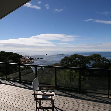 Suntrap Cove Bicheno Villa Exterior foto